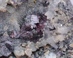 6.7cms PROUSTITE RED RUBY SILVER MINERAL PERU UCHUCCHACUA MINE SPECIMEN HB218