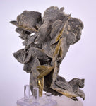 12cms SELENITE DESERT ROSE GYPSUM CRYSTALS COLLECTORS PERU MINERAL SPECIMEN TB56