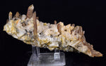 14cms CALCITE TOOTH DOG WITH QUARTZ CRYSTALS PERU SHINY MINERAL SPECIMEN GB47