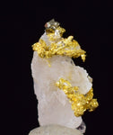 0.6 cms UNIQUE NATIVE GOLD INCAS PYRITE CUBES PERU QUARTZ CRYSTALS LB125