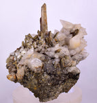 11cms CALCITE TOOTH DOG WITH QUARTZ CRYSTALS PERU SHINY MINERAL SPECIMEN QB103