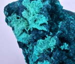 5cm GEM BLUE MALACHITE CHRYSOCOLLA PERU ROSETTE BOTRYOIDAL CRYSTAL GRAPE  UB186