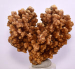 6.1cms ARAGONITE BOTRYOIDAL CRYSTALS AESTHETIC MINERAL SPECIMEN PERU EB45