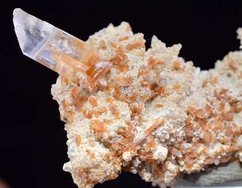 5cms LIMONITE IN SELENITE CRYSTAL COLLECTOR PERU MINERAL SPECIMEN TB81