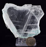 7.7cms GEM ATACAMITE INSIDE SELENITE CRYSTAL LILY MINE 2000 DISCOVERY PERU AB117