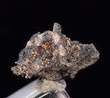 1.3cms NATIVE SILVER WIRE PERU UCHUCCHACUA MINE MINERAL SPECIMEN HB256