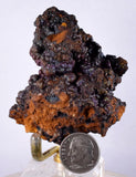 6cms GOETHITE BOTRYOIDAL IRIDESCENT CRYSTALS PERU IRON NEW FIND MINERAL ZB06