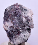 3.5cms PROUSTITE RED RUBY SILVER PERU UCHUCCHACUA MINE MINERAL SPECIMEN HB136
