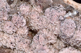 12cms BARITE DOLOMITE RHODOCHROSITE CRYSTALS PERU SHINY MINERAL SPCIMEN EB50