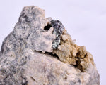 3.7cms PROUSTITE RED RUBY SILVER PERU UCHUCCHACUA MINE MINERAL SPECIMEN HB191