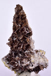 5.6cms PREMIUM AXINITE CRYSTALS PERU AESTHETIC COLLECTOR AB135