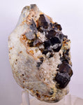 10.2cms TWIN CASSITERITE BRILLIANT CRYSTALS FACET GRADE  BOLIVIA MINERAL EB54