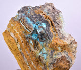 8.5cms ATACAMITE DRUZY MALCHITE CHRYSOCOLLA LILY MINE PERU MINERAL AB141