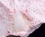 6.7cms RHODOCHROSITE CALCITE CRYSTALS JORDANITE (?) GALENA PERU RB512