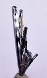5.2cms STIBNITE CRYSTAL PERU MINERAL SPECIMEN COLLECTOR MB94