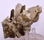 10.5cms CALCITE TOOTH DOG WITH QUARTZ CRYSTALS PERU SHINY MINERAL SPECIMEN GB17