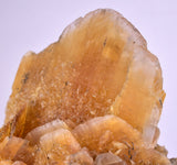 11.5cms GOLDEN SELENITE CRYSTAL PERU FISH TAIL SUISEKI TRANSLUCENT TB127