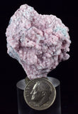 4cms RHODOCHROSITE ROSETTE PERU PINK CRYSTALS HUANZALA MINE MINERAL RB559