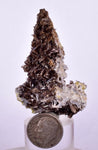 5.6cms PREMIUM AXINITE CRYSTALS PERU AESTHETIC COLLECTOR AB135