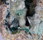 14cms GEM ATACAMITE INSIDE SELENITE CRYSTAL LILY MINE 2000 DISCOVERY PERU AB183