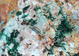 10cms ATACAMITE DRUZY MALCHITE CHRYSOCOLLA LILY MINE PERU MINERAL AB157