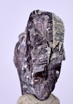 3.2cm GEM AXINITE CRYSTAL  PERU SUPER SHINY MINERAL SPECIMEN AB95