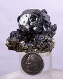 4.2cms SPHALERITE PYRITE GALENA CRYSTALS MINERAL SPECIMEN PERU MB30