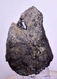 6.1cms ACANTHITE QUARTZ PYRARGYRITE CHALCOPYRITE CRYSTALS MINERAL PERU HB181