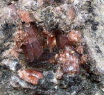 4.7cm RHODOCHROSITE CRYSTALS PERU OLD STOCK UCHUCCHACUA MINERAL SPECIMEN RB517