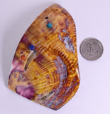 PIECES OF SPINY OYSTER POLISHED PERU JEWELRY PENDANT BB157