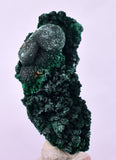 3.9cms MALACHITE CRYSTALS MINERAL SPECIMEN AHOULI MINES MOROCCO UB230