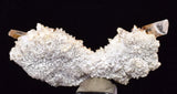 5cms LIMONITE IN SELENITE CRYSTAL COLLECTOR PERU MINERAL SPECIMEN TB81