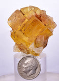 3.8cms GEM YELLOW FLUORITE SHINY CRYSTAL AHOULI MOROCCO MINERAL SPECIMEN KB44