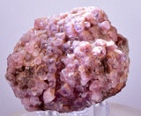 5cms COBALTOAN CALCITE SHINY CRYSTAL MOROCCO MINERAL SPECIMEN GB61