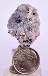 2.9cms PROUSTITE RUBY SILVER RHODOCHROSITE PERU UCHUCCHACUA MINE MINERAL HB195