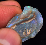 2.2 cms BLUE OPAL SHELL CLAMP FOSSIL AUSTRALIA COBBER PEDY 2000 DISCOVERY  OB141