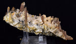 14cms CALCITE TOOTH DOG WITH QUARTZ CRYSTALS PERU SHINY MINERAL SPECIMEN GB47