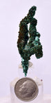 5.1cms MALACHITE CRYSTALS MINERAL SPECIMEN AHOULI MINES MOROCCO UB231