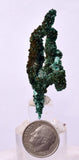 5.1cms MALACHITE CRYSTALS MINERAL SPECIMEN AHOULI MINES MOROCCO UB231