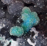 6.8cms DRUZY CHRYSOCOLLA QUARTZ CHILE INCA DE ORO MINERAL SPECIMEN DB93