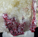 4.4CMS PROUSTITE RUBY SILVER TWIN CRYSTALS MOROCCO CALCITE MINERAL SPECIMEN HB1