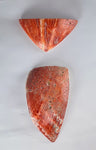 2 PIECES OF SPINY OYSTER POLISHED PERU JEWELRY PENDANT BB134