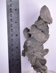 15cms SELENITE DESERT ROSE GYPSUM CRYSTALS COLLECTORS PERU MINERAL SPECIMEN TB54
