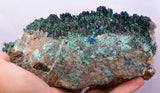 16cms GEM BROCHANTITE ATACAMITE LINARITE CHRYSOCOLLA CHILE Z43