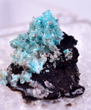 1.6cm AURICHALCITE CRYSTALS DURANGO MEXICO MINERAL SPECIMEN WB29