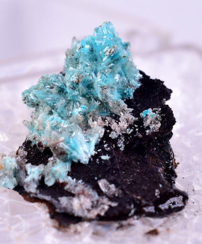 1.6cm AURICHALCITE CRYSTALS DURANGO MEXICO MINERAL SPECIMEN WB29