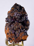 6cms GOETHITE BOTRYOIDAL IRIDESCENT CRYSTALS PERU IRON NEW FIND MINERAL ZB06
