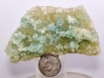 7.3cms ATACAMITE CALCITE DRUZY CHRYSOCOLLA MALACHITE LILY MINE PERU AB178