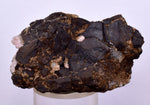 5.2cms ALABANDITE CRYSTALS PERU GEM UCHUCHACCUA MINE MINERAL SPECIMEN HB156