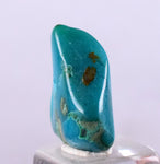 5.5carats GEM SILICA CHRYSOCOLLA CHALCEDONY LILY MINE PERU TUMBLED QUARTZ BB45